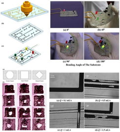 理化所開發液態金屬懸浮3D打印方法，開創柔性可拉伸電子器件制造新路徑